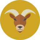 Netuno em Capricórnio